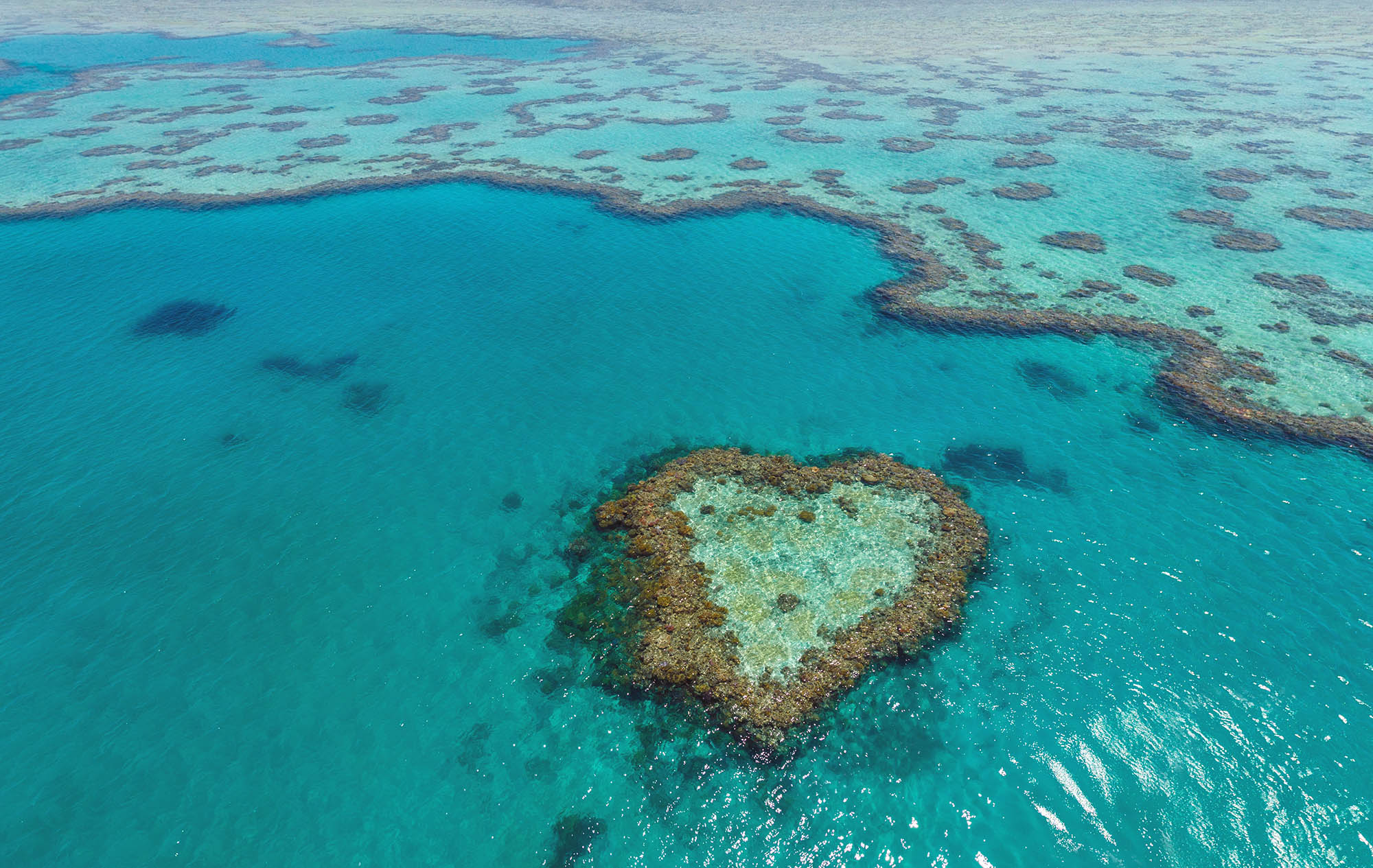 heart shaped reef